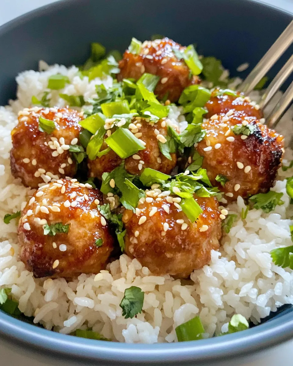 Delicious Sesame Ginger Chicken Meatballs with Rice dish photo