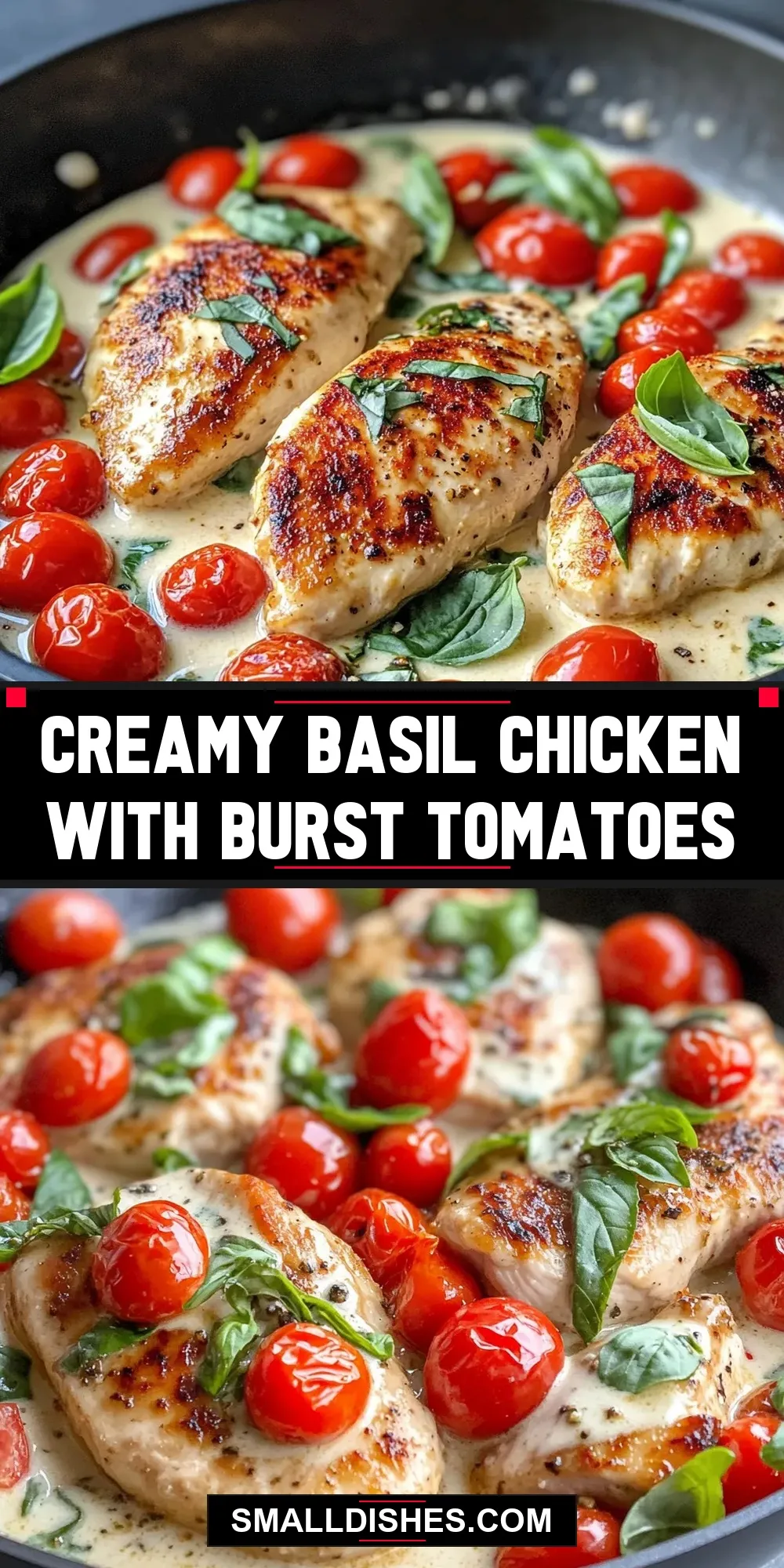 The Best Creamy Basil Chicken With Burst Tomatoes Ever
