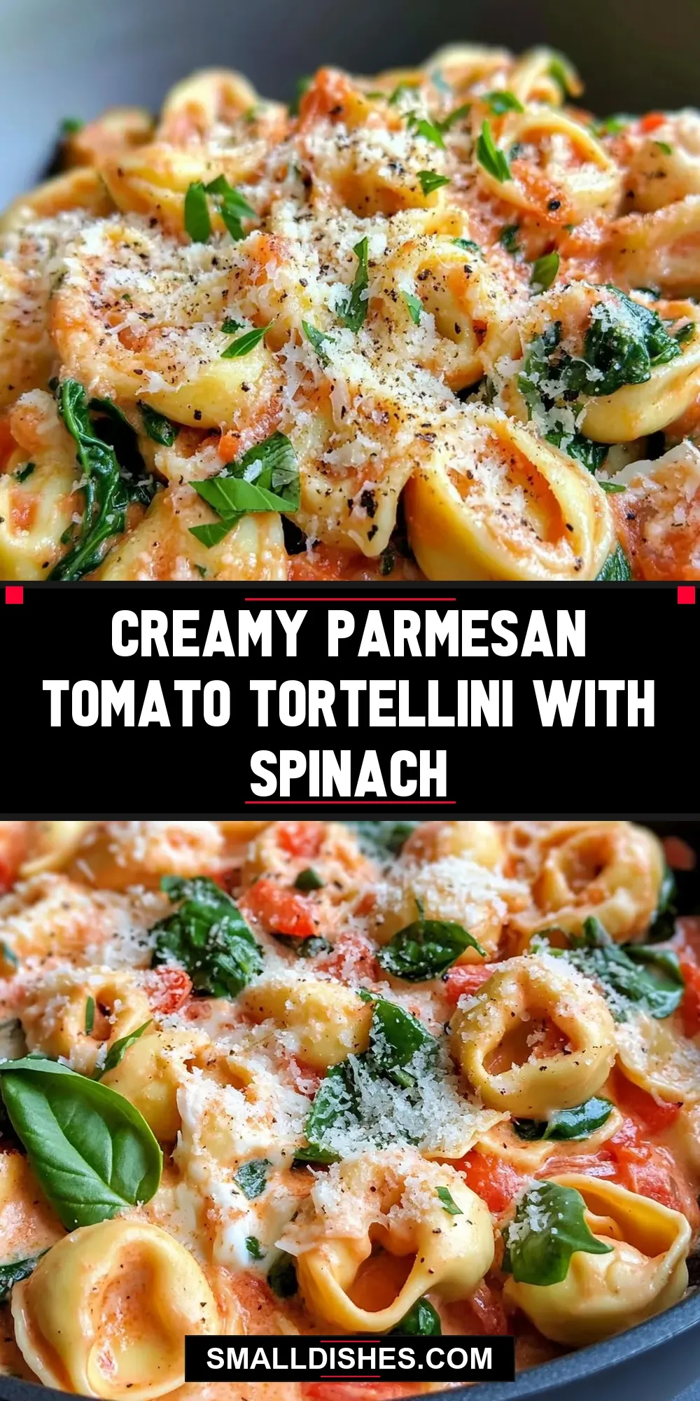 Creamy Parmesan Tomato Tortellini With Spinach Recipe