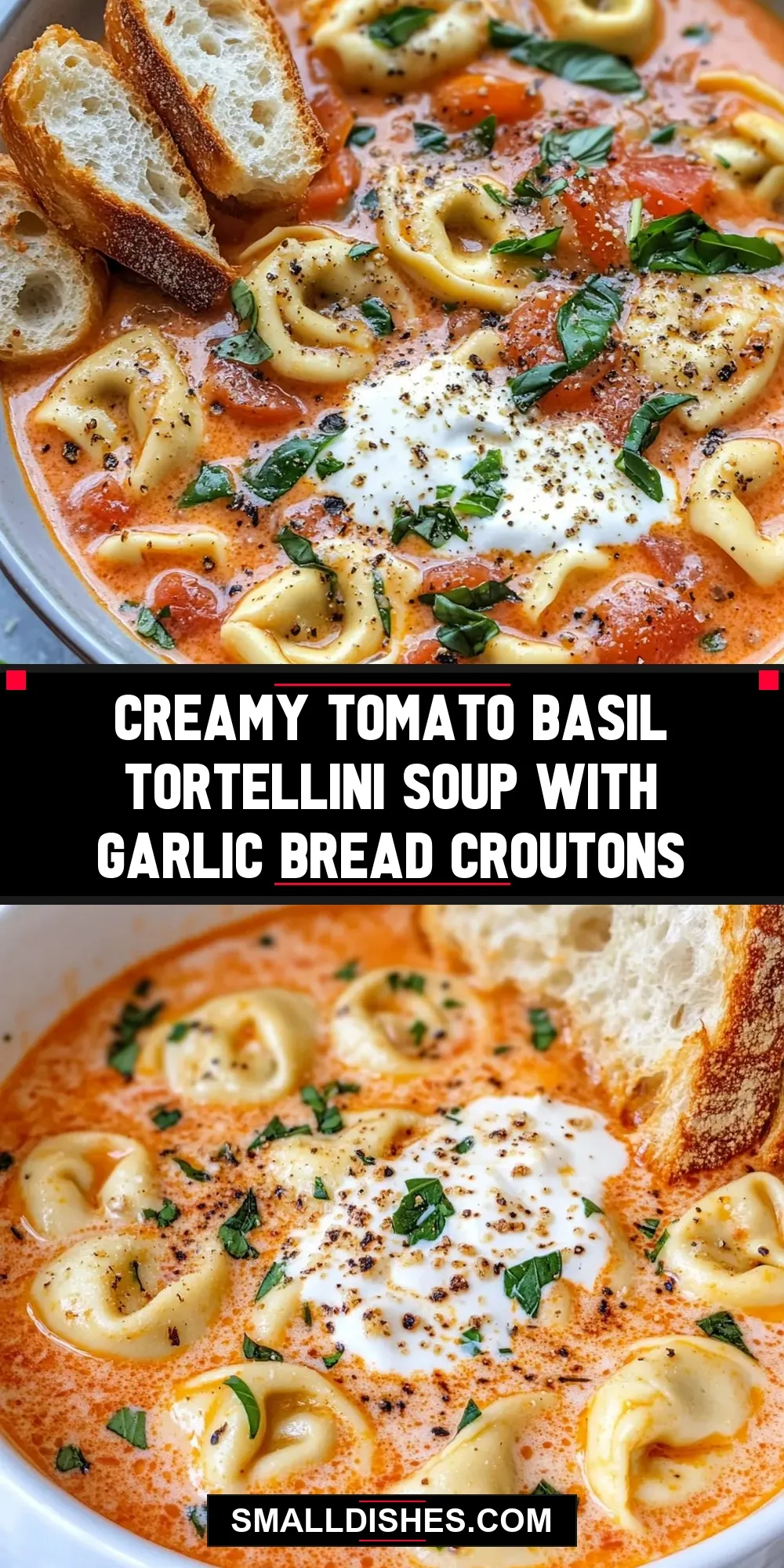 Creamy Tomato Basil Tortellini Soup With Garlic Bread Croutons Recipe