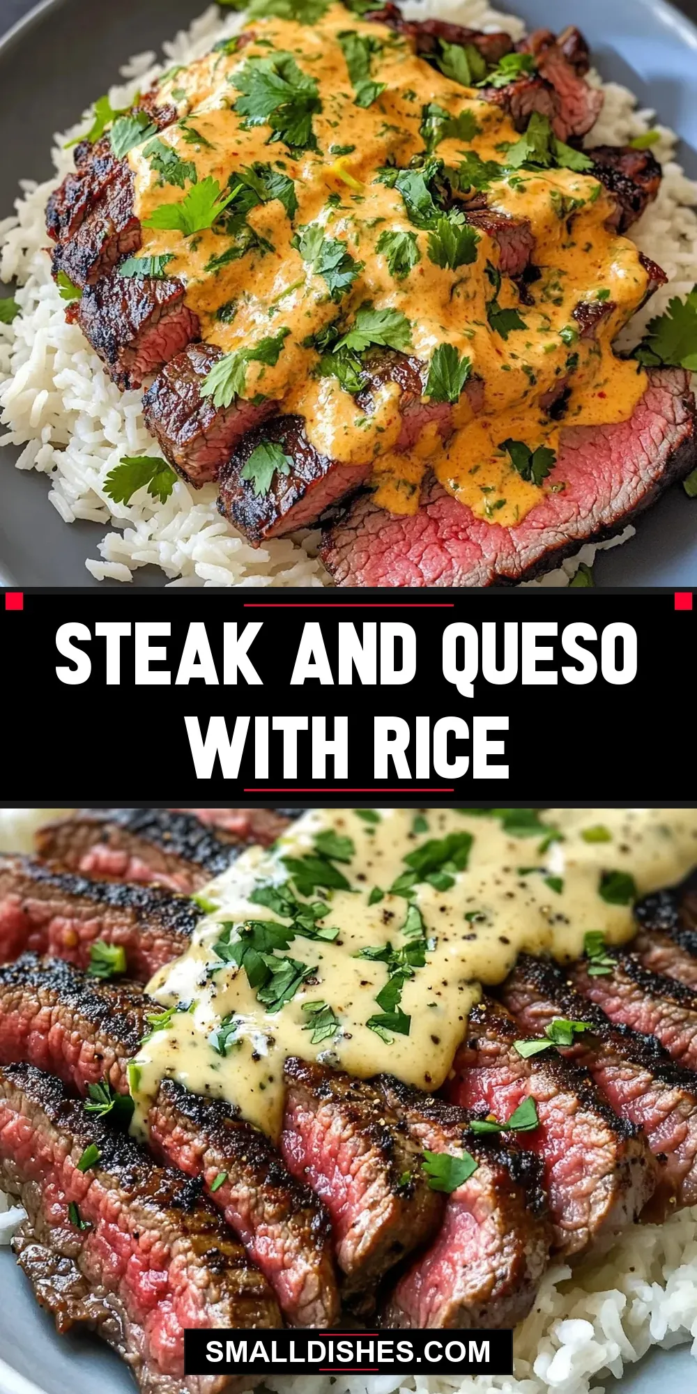 Steak And Queso With Rice (Simple & Delicious)
