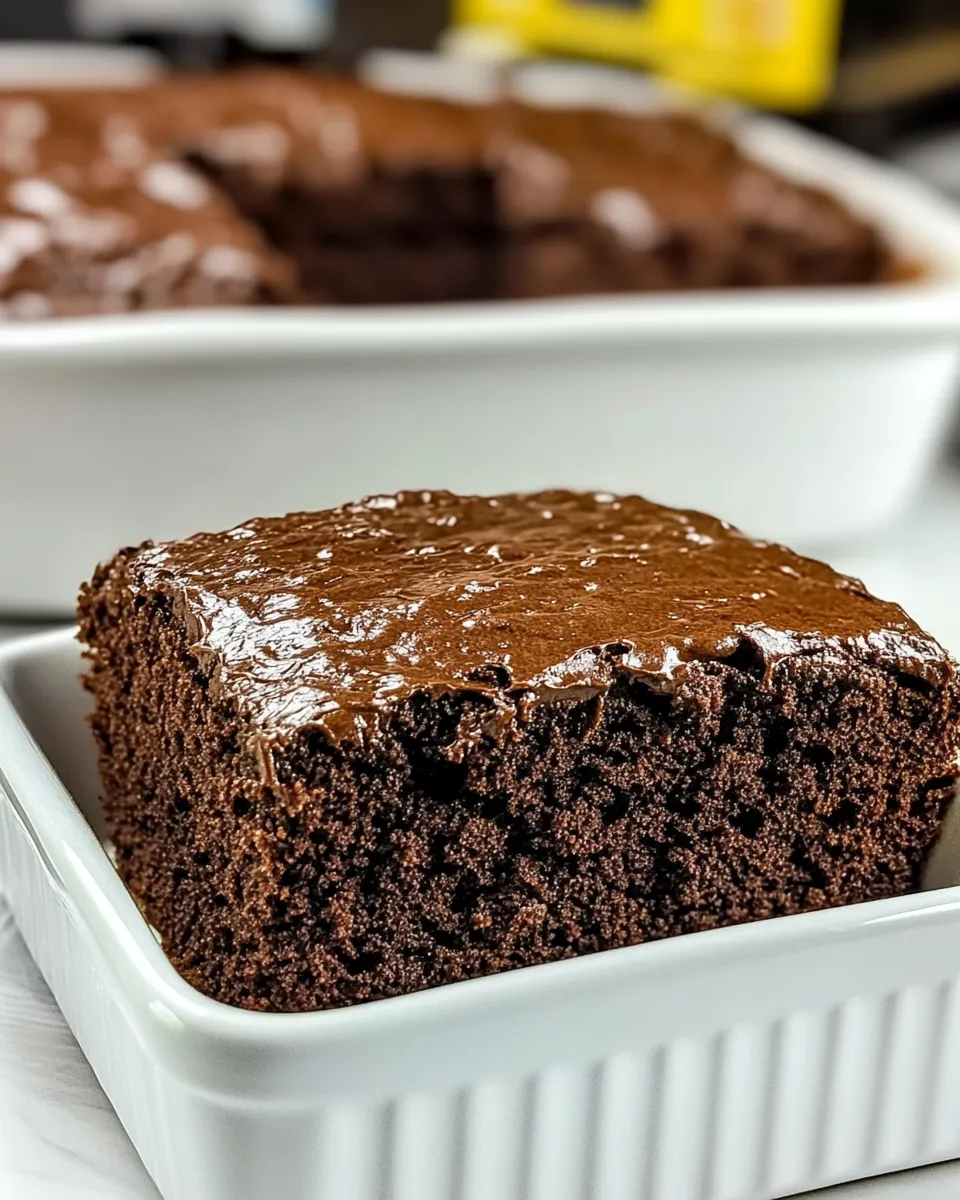 Delicious Chocolate Butter Cake shot