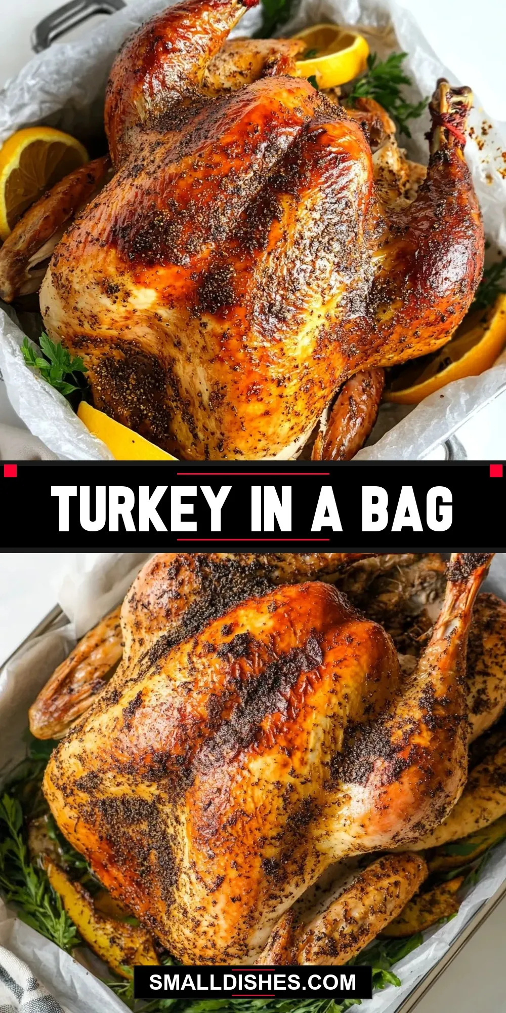 Simple Turkey In A Bag