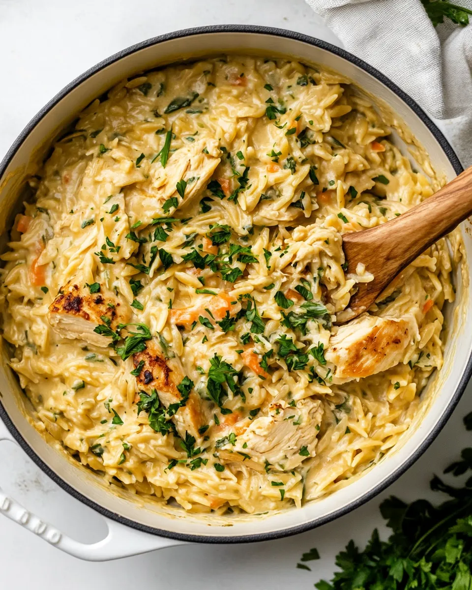 Easy Creamy Chicken Orzo recipe photo