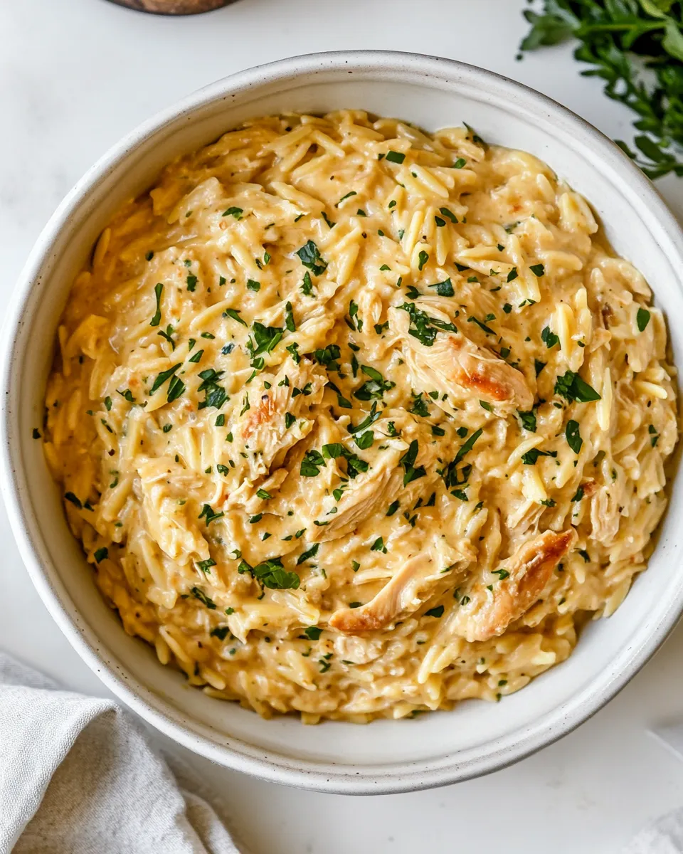 Delicious Creamy Chicken Orzo shot