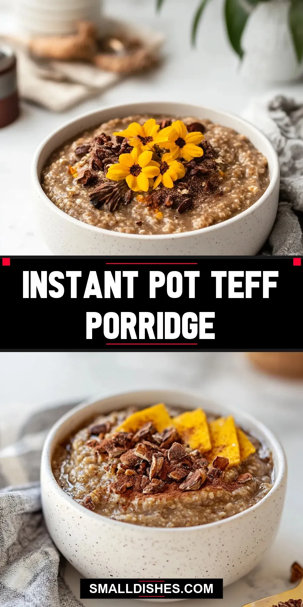 Instant Pot Teff Porridge Recipe