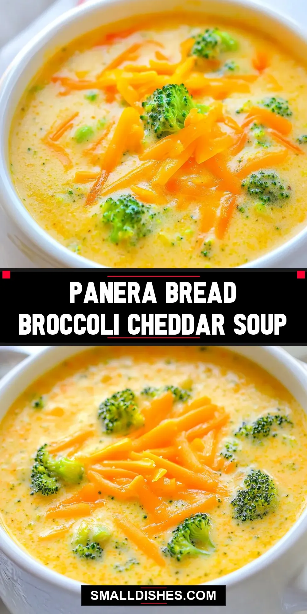 Panera Bread Broccoli Cheddar Soup (Quick & Delicious)