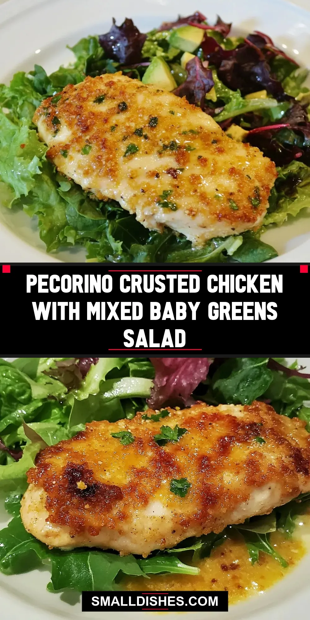 How To Make Irresistible Pecorino Crusted Chicken With Mixed Baby Greens Salad