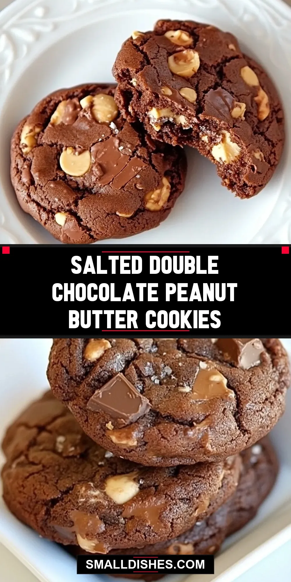 Salted Double Chocolate Peanut Butter Cookies (Amazing & Delicious)
