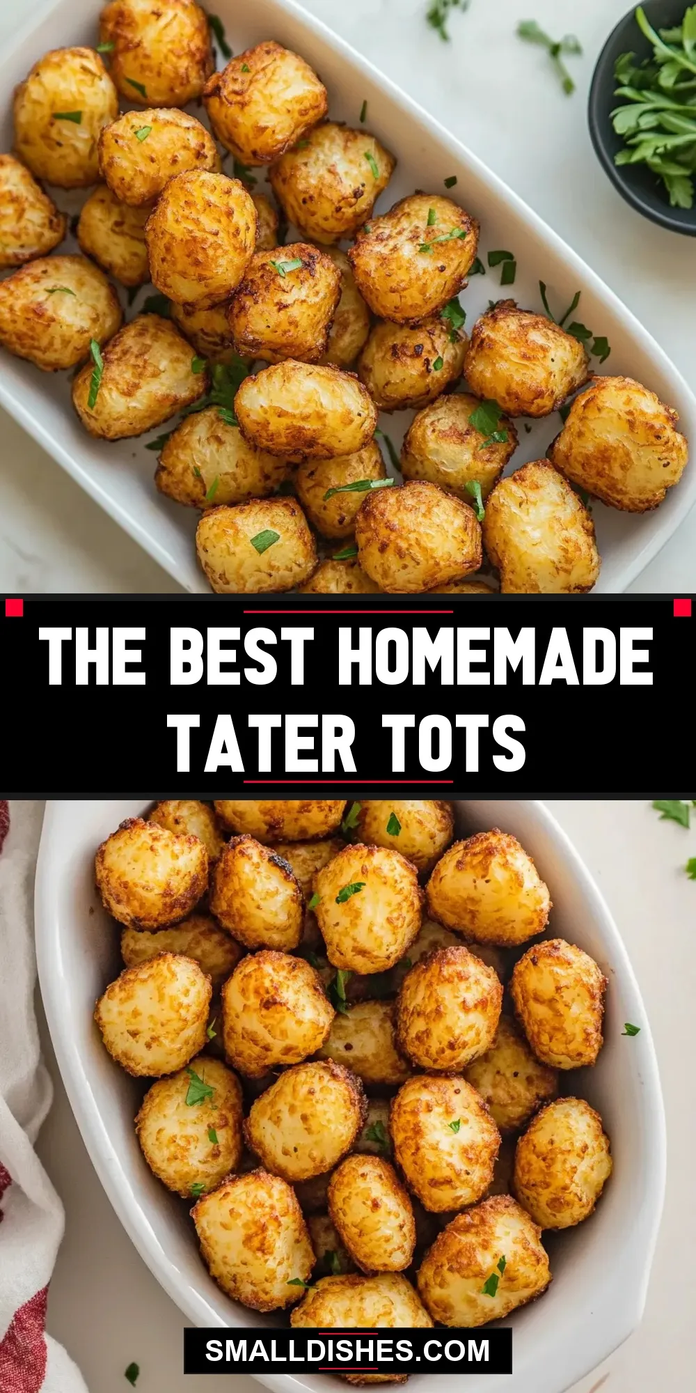 The Best The Best Homemade Tater Tots Ever